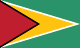 गुयाना flag